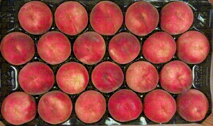 Fiches variétales Pêches Nectarines - Variété Sweet Pinkie, pêche à chair blanche (plateau)